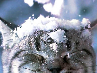 Újra téliesre fordul az idő! Havazásra és havas esőre kell számítani