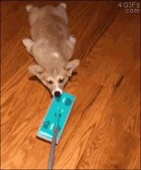 9 tipp, hogy soha ne legyen rendetlen az otthonod