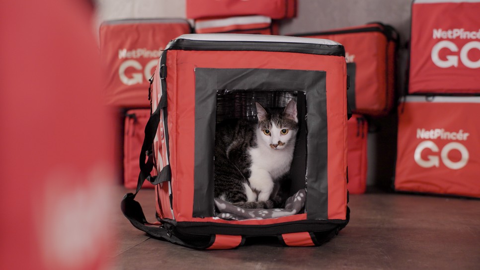 A tökéletes téli házikó