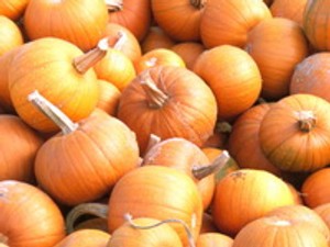 Nyarat idéz a sütőtök