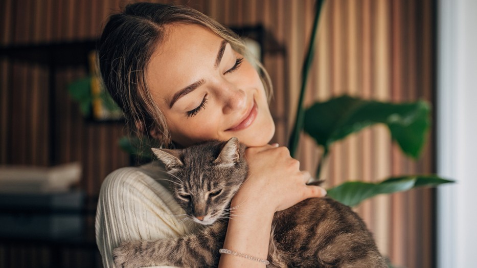 Mondjuk, mi a tökéletes hőfok, ami védi a kisállatod egészségét a légkonditól