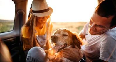 A kutya, mint “próbagyerek” - tényleg fel lehet készülni a gyerekvállalásra egy kisállattal?