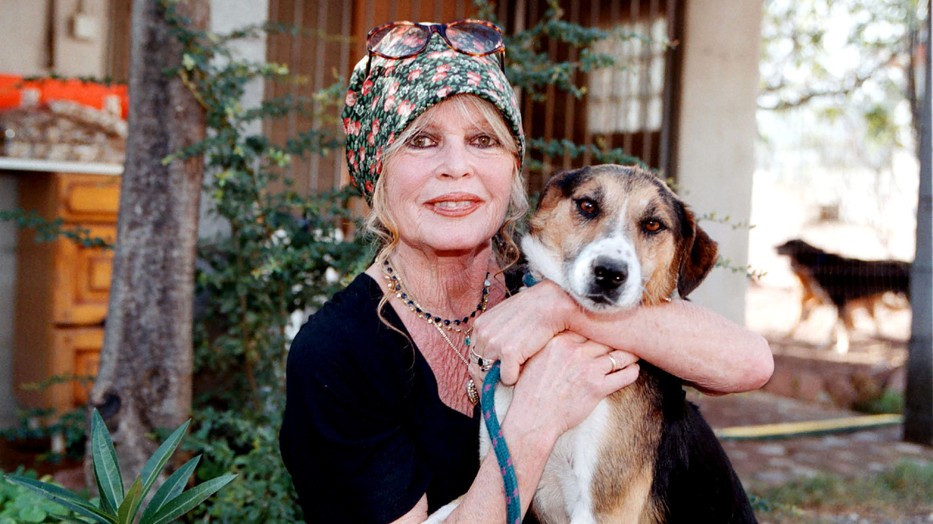 Brigitte Bardot felháborodva reagált a halálhírére