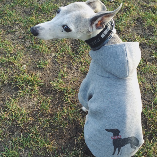 Így kell kezdeni a napot, hogy jól menjen a munka