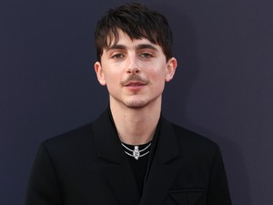 Különös teória terjed Timothée Chalamet-ról, a rajongók próbálják lebuktatni a színészt