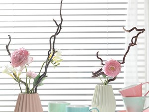 Jól indul a tavasz!