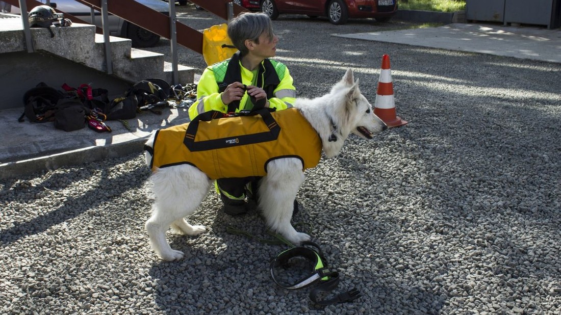 Kovács Tímea és Demi munkája ismét veszélybe kerülhet, miután elapadtak az alapítványhoz érkező források