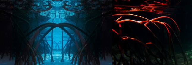 Egzotikus álom és utazás a Galla új kollekciójában