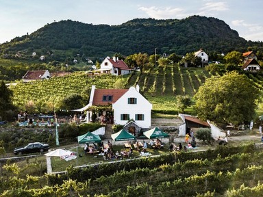 Borrajongók figyelem: hamarosan itt a Szent György-hegy Matiné!