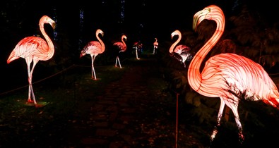 Ugorjatok be Alice Csodaországába!– Garden of Lights kiállítás nyílt az ELTE Füvészkertben