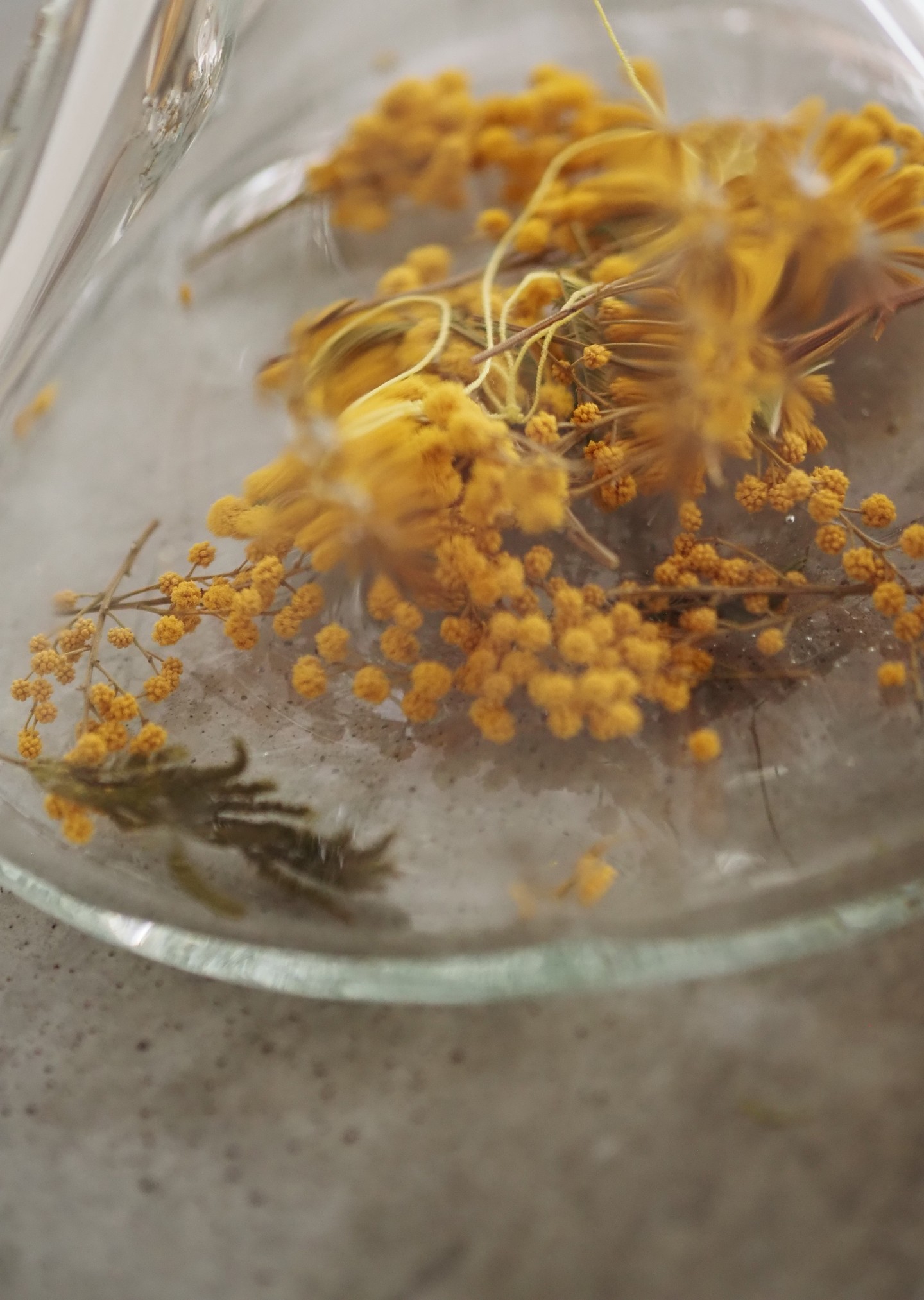 Az AERON és Leila Guinnefollau installációja