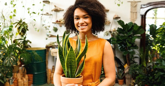 Kvíz: te képes lennél életben tartani egy növényt? 10 kérdés és kiderül