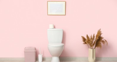 A nagymamáink tudták: ezért nem szabad soha nyitva hagyni a WC-ülőkét éjszakára