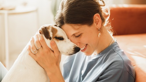 5 kutyafajta, ami annyira független és önbizalommal teli, hogy tökéletesen el lesz, amíg te dolgozol