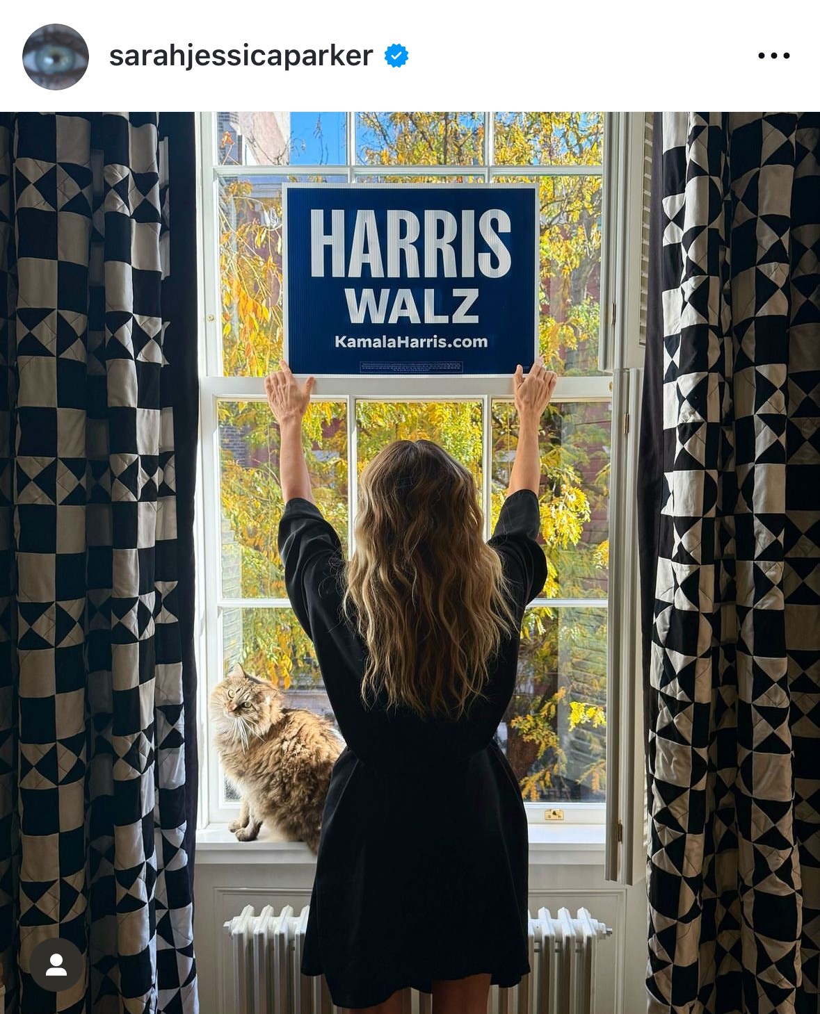 A Szex és New York sztárja, Sarah Jessica Parker a napokban így posztolt: „És egy bizonyos gyermektelen macskás hölgyként, akit a TV-ben játszom, örömmel, optimizmussal és büszkeséggel szavazok Kamala Harris alelnökre és Tim Walz kormányzóra.” (J. D. Vance republikánus szenátor gyermektelen macskás hölgyeknek nevezte azokat, akik szerinte a demokratákra szavaznak, ezzel alacsonyítva le őket.)