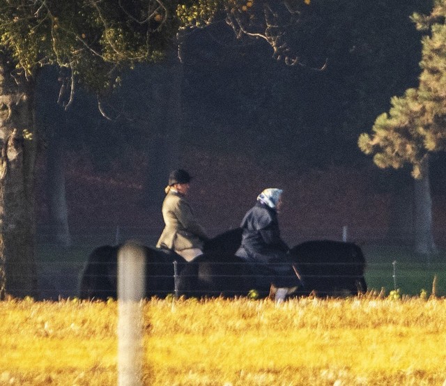 Erzsébet királynő