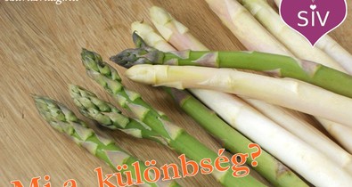 Zöld spárga vagy fehér spárga? 5 alapvető különbség