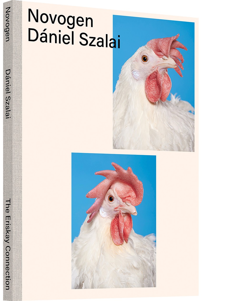 Dániel portréiból végül egy könyv is született