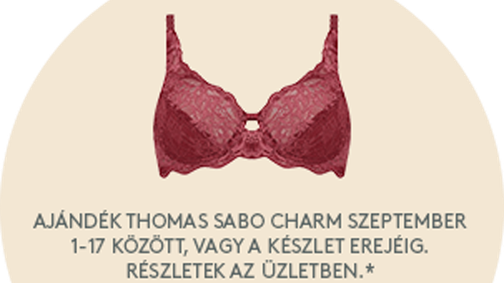 Egy kis divattöri: Így fejlődött a Triumph legikonikusabb kollekciója!