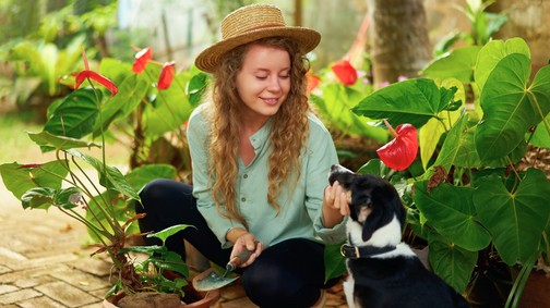 2 növény, amit azonnal távolíts el a kertedből, ha van kutyád: súlyos mérgezést okozhatnak