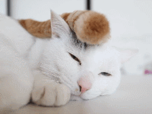 Ma társaságra van szükséged - Egymondatos horoszkóp - november 14. kedd