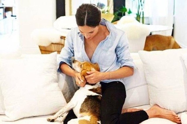 Meghan Markle és Harry herceg fontos dolgokról beszéltek, de a kutyusuk ellopta show-t