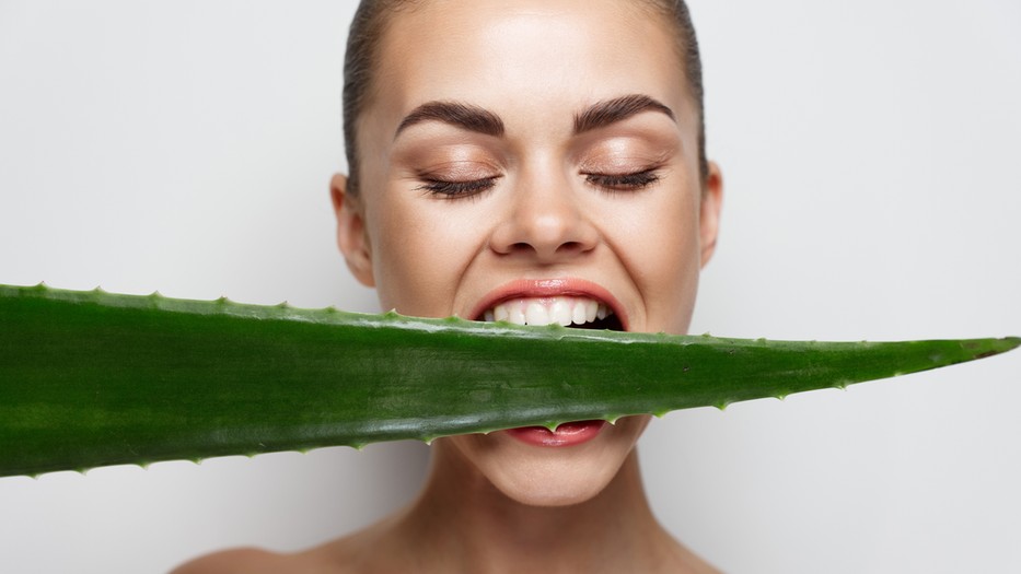 Az aloe vera jótékony hatása már 6000 éve ismert / Fotó: Gettyimages