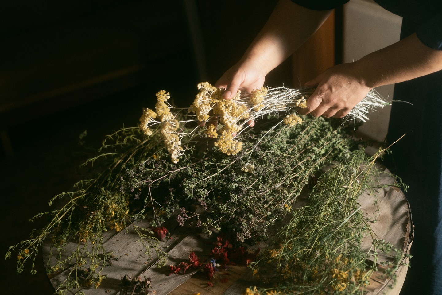 Gyógynövények: orbáncfű, orvosi zsálya, szurokfű, cickafark