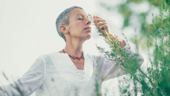 Filléres gyógynövény, ami az Alzheimer-kórt is segít megelőzni: csökkenti a szorongást és javítja az alvás is