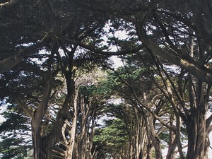 16 évesen körbeutazta a világot, 12 évesen regényt írt ez magyar származású csodalány!