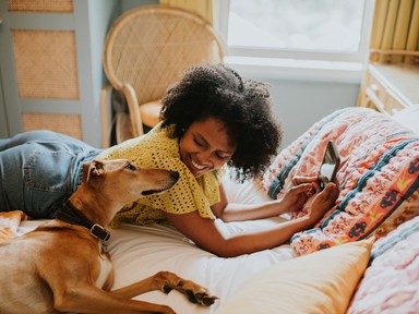 Ha van háziállatod, ezt az 5 takarítási praktikákat felejtsd el, mert veszélybe kerülhet az egészségük