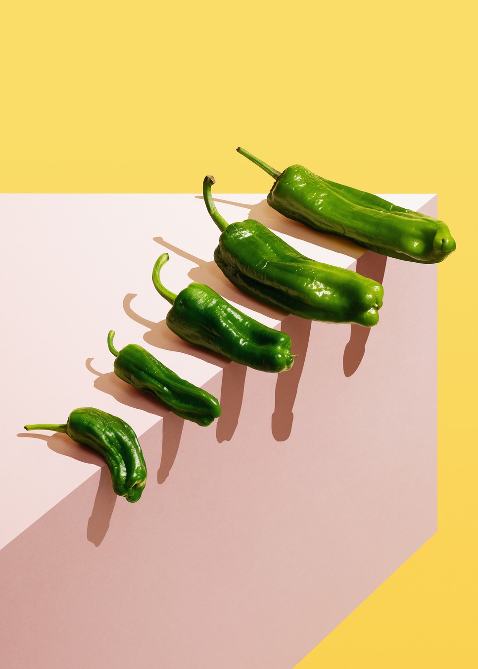 Téged az adottságaid határoznak meg?