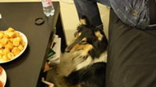 Képriport a GLAMOUR WOMEN of the Year forgatásról!