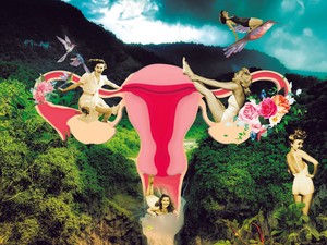 Méhpolip - minden, amit tudnod kell róla