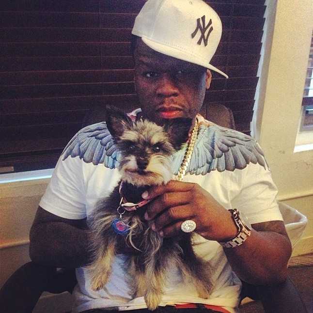 Ki gondolná, hogy a kemény fenegyerek egy törpe schnauzer büszke tulajdonosa? Már az eb neve sem hétköznapi, hiszen 50 Cent Oprah Winfrey-ről nevezte el kutyáját stílusosan Oprah Winfree-nek. A nevén túl a kutya élete sem nevezhető mindennapinak. Elfoglaltságairól bővebben olvashatunk a Twitteren, ahol már több mint 11 ezer rajongója van.