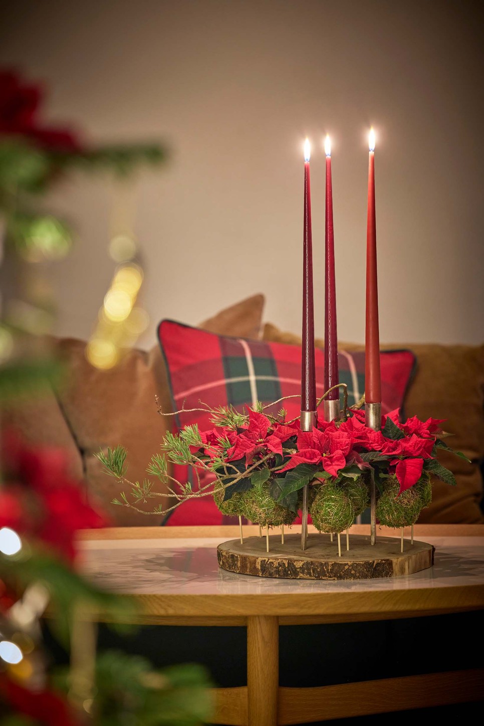 Lebegő kokedama mikulásvirággal DIY