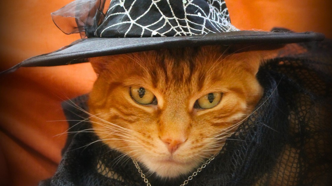 Az újkori boszorkánykultusz a női autonómiára és önrendelkezésre helyezi a hangsúlyt.