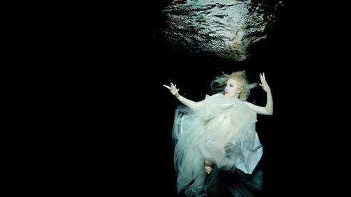 Csíz és víz- Csodás fotók a felszín alatt