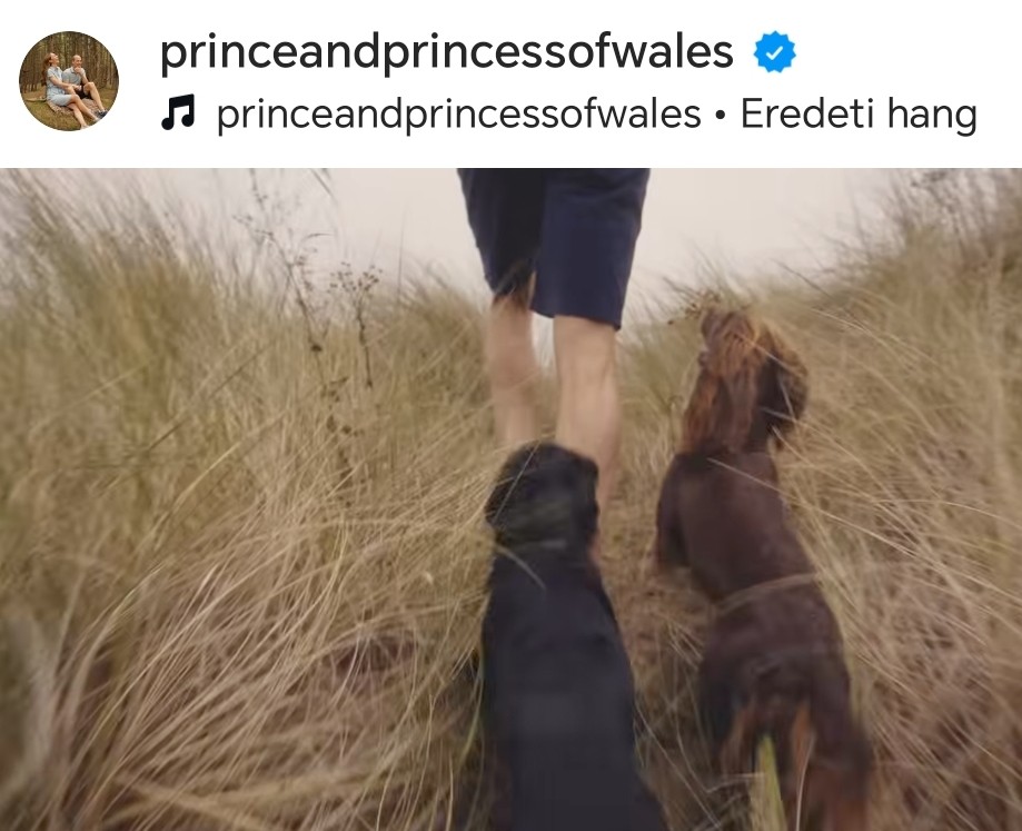 Vilmos herceg a két kutyával