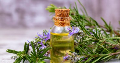 Mielőtt rozmaringolajjal dúsítanád a hajad, olvasd el, mit gondol róla a tudomány!