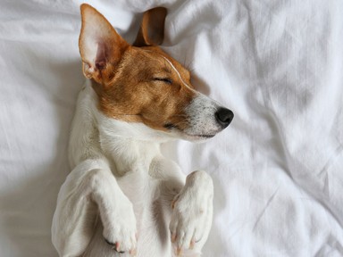 „Mind az egészség és a szépség megőrzése szempontjából a háton alvás a legideálisabb” - beszélgetés dr. Simon Márta neurológussal