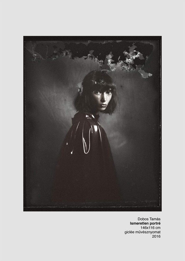 dobos tamás, u, kiállítás, next galéria, divatfotós