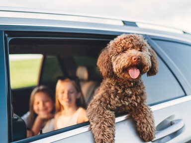 Brutális büntetésekre számíthatsz, ha erre a 3 dologra nem figyelsz, amikor autóval mész külföldre nyaralni