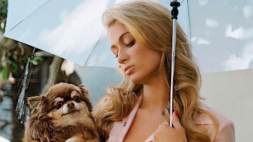 Paris Hilton kutyája jobban él, mint te vagy én! Durva!