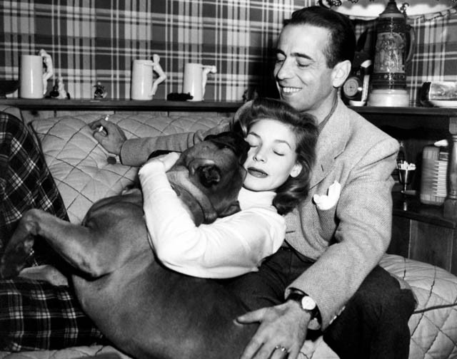 Lauren Bacall és Humphrey Bogart szeretett kutyájuk, Harvey társaságában. 