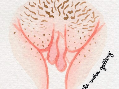 Ezen az Instagram oldalon, csak puncikról készült rajzok vannak, de nagyon fontos üzenete van