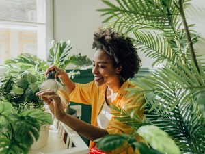 Készülj fel egy külső és belső tavaszi nagytakarításra a feng shui jegyében