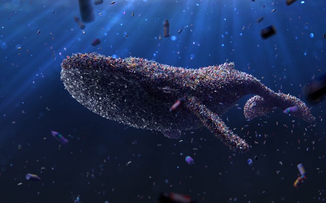 A kép csak illusztráció