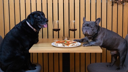 Magyarország vezető helyen van Európában ebben