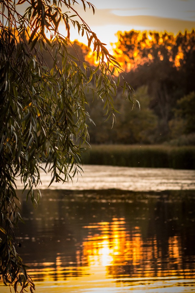 7 ok, amiért muszáj elmenned Tiszafüredre!
